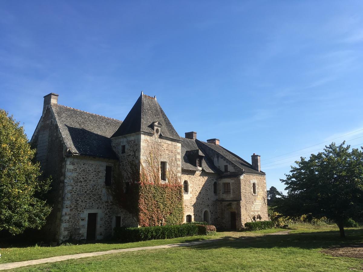 Manoir De Jouralem Bed & Breakfast Blaison Exterior photo